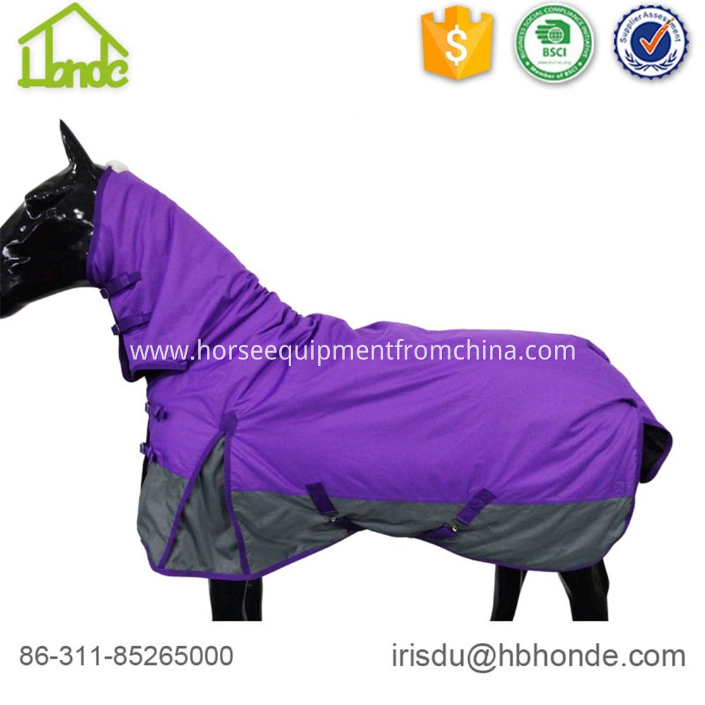 purple horse rug